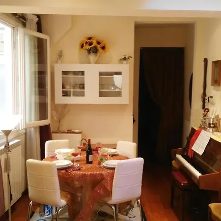 Sunflower Centro Floransa