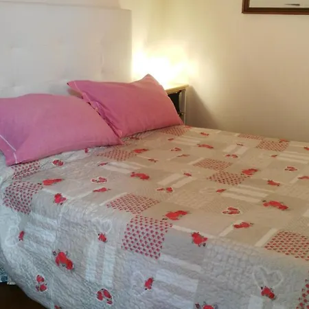 Sunflower Centro Daire *